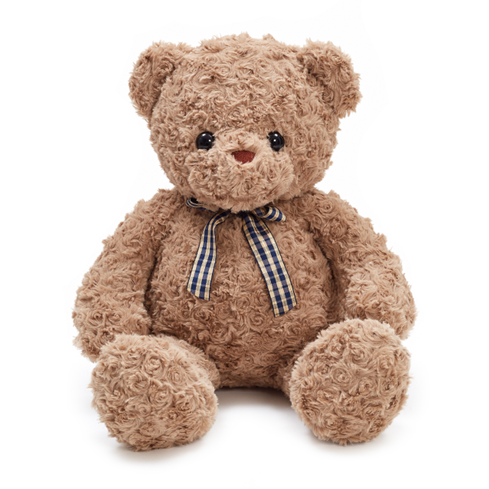  Teddy Bear for Kids