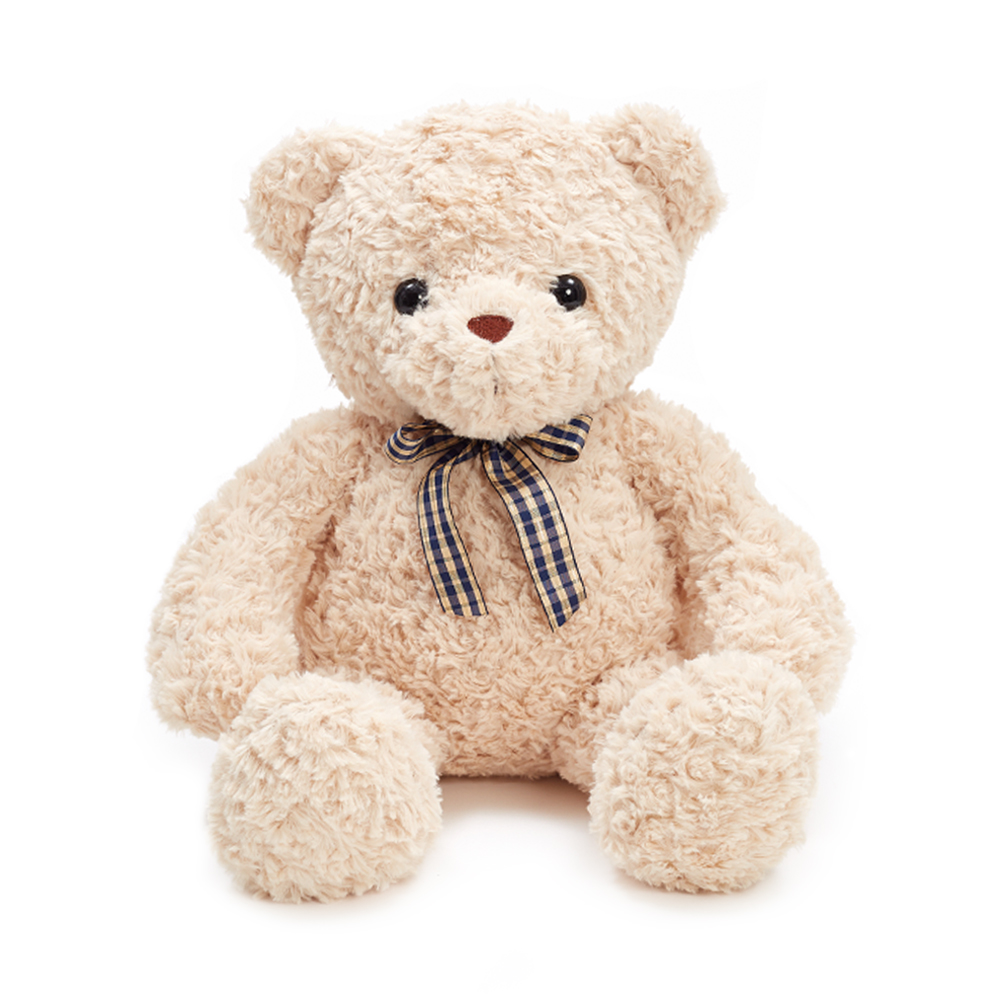Plush Teddy Bear